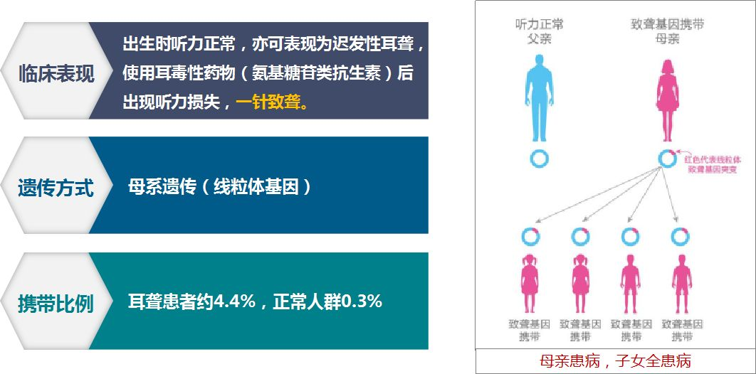 1586402425567381.png image.png