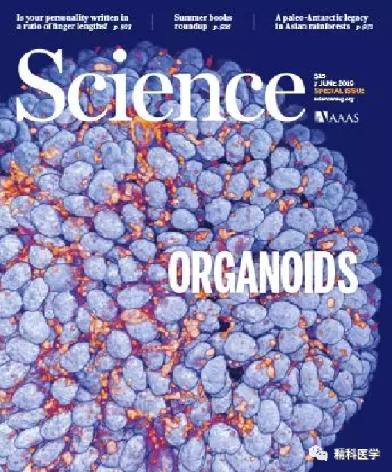 1591869128987596.png image.png