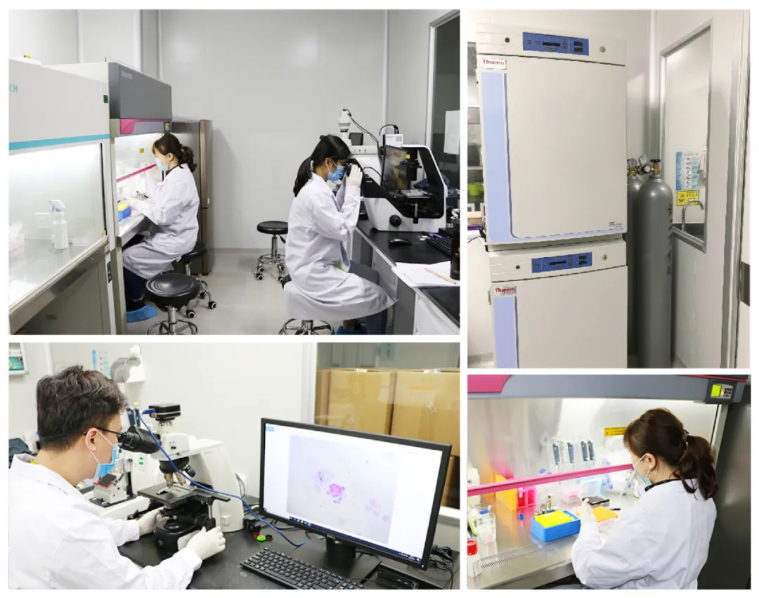 1591944485203647.png image.png