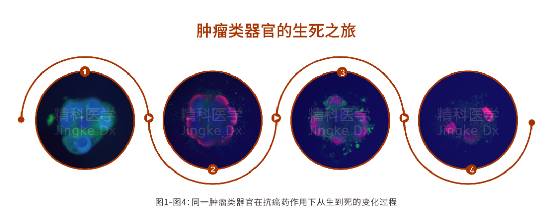 1639020991455826.png image.png