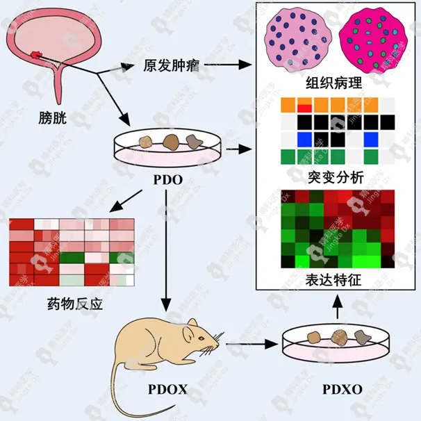 1639031590380977.png image.png