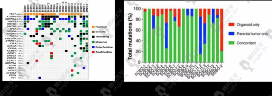 1639031623443144.png image.png