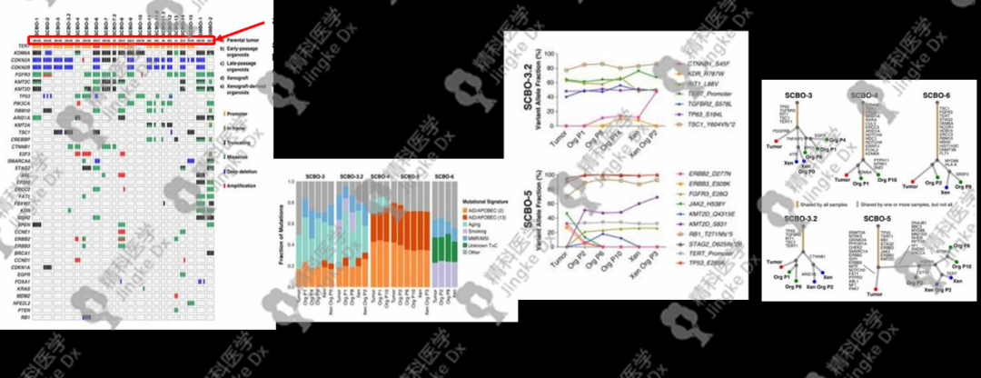 1639031654173728.png image.png