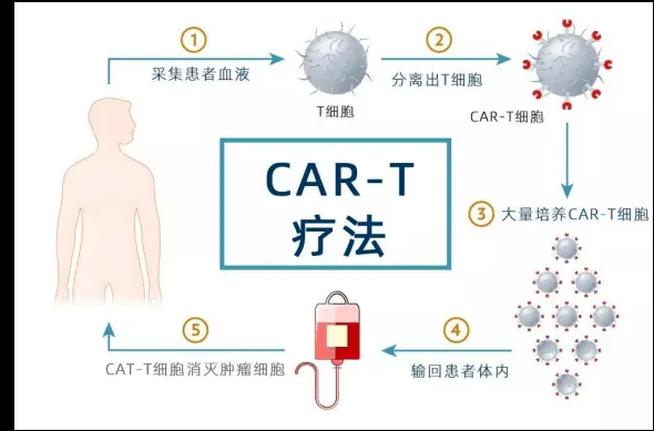 1658905001208954.png image.png