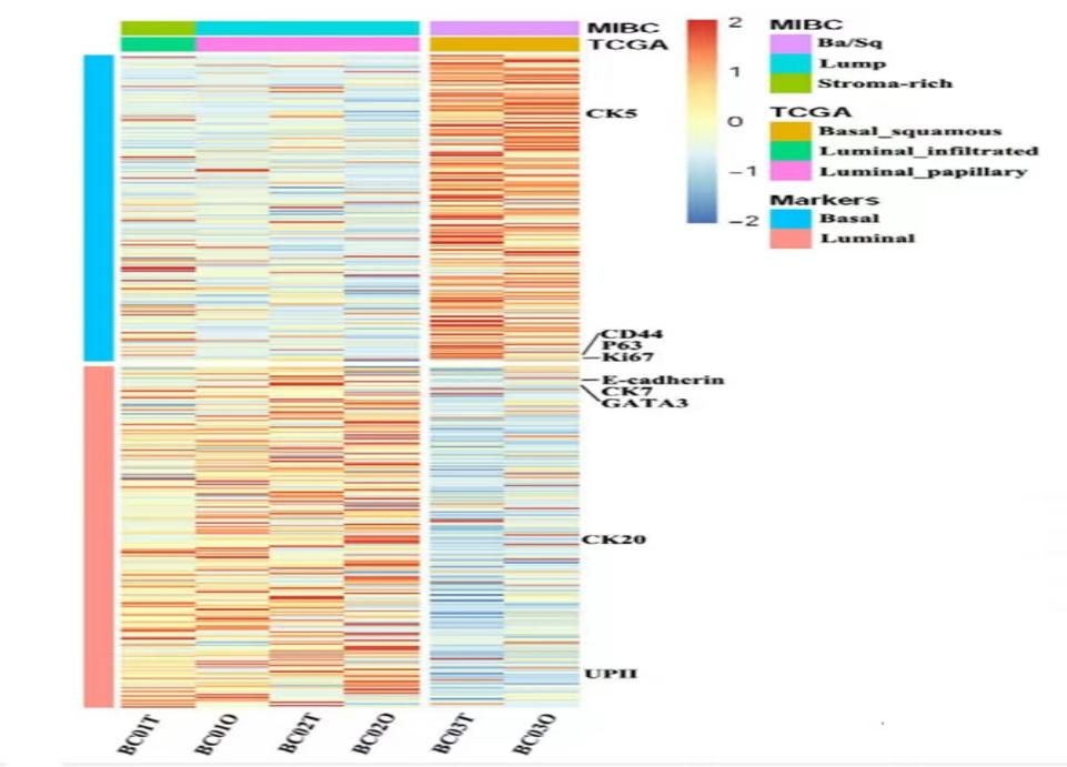 1658905180437896.png image.png