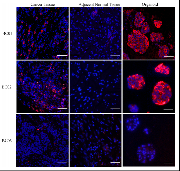 1658905342335656.png image.png