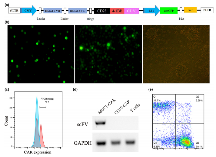 1658905367991970.png image.png