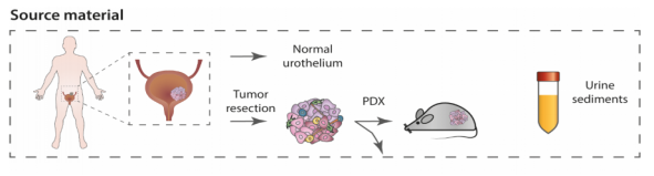 1658905681235815.png image.png