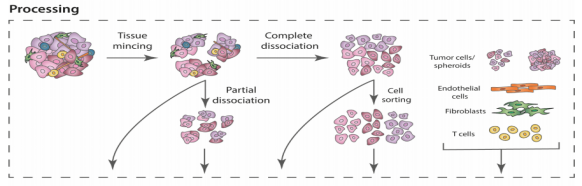 1658905693701813.png image.png