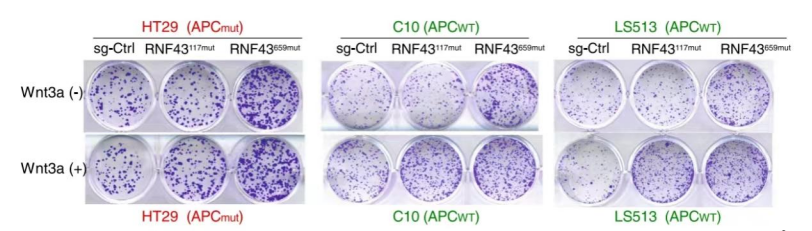 1660271696436787.png image.png