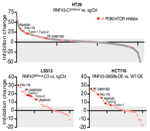 1660271755367748.png image.png