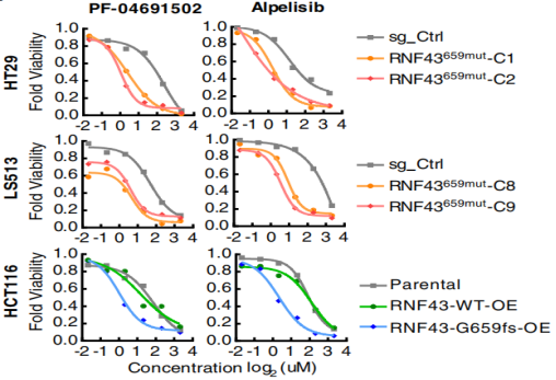 1660271812657316.png image.png