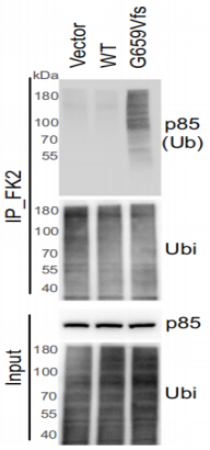 1660271834265162.png image.png