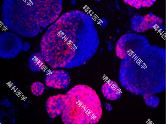 1660272305526293.png image.png