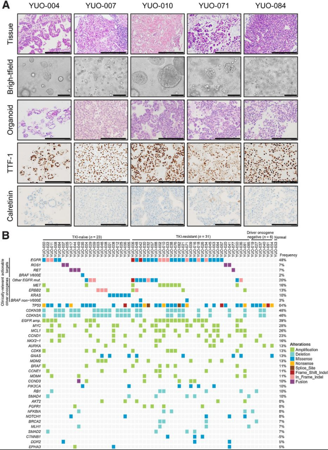 1663586462303250.png image.png