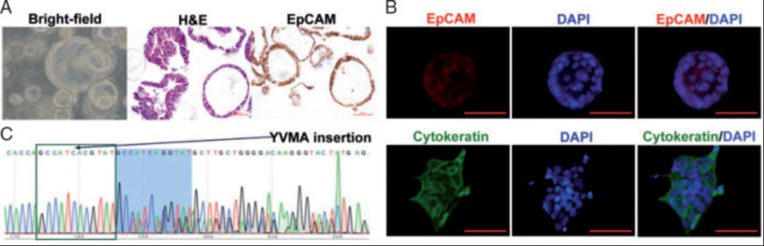 1663587097639755.png image.png