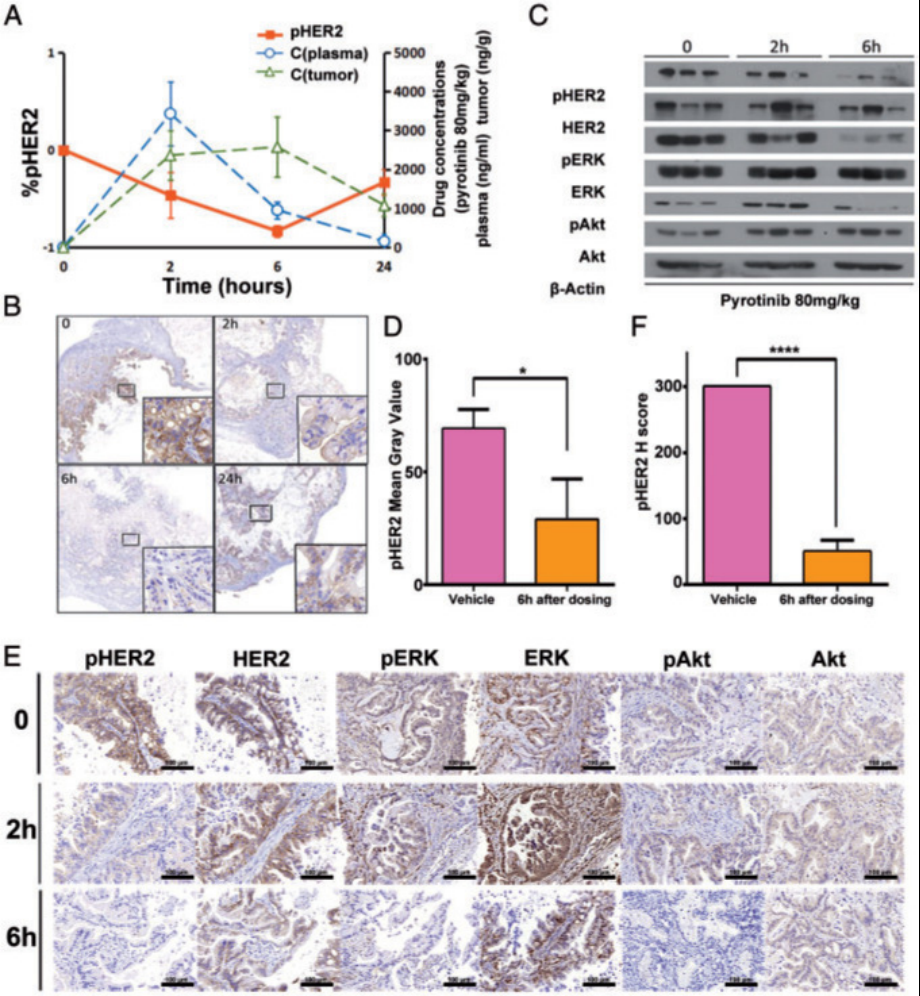 1663587169173684.png image.png