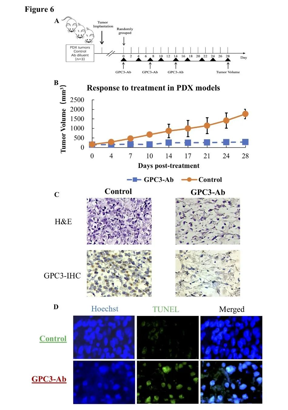 1663587395435816.png image.png