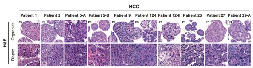 1663588050706982.png image.png