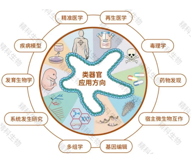 1681206051826773.png image.png