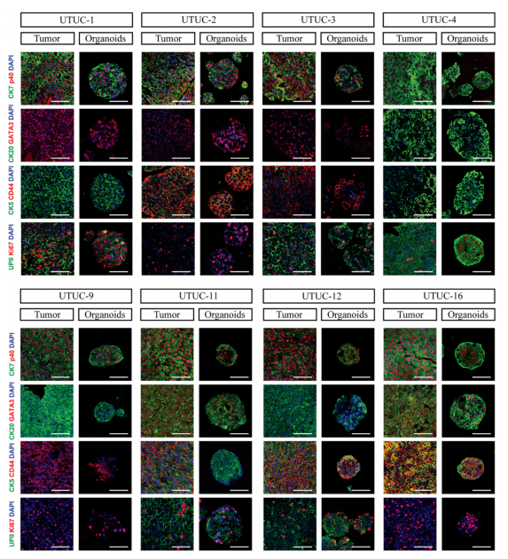 1683796015539308.png image.png