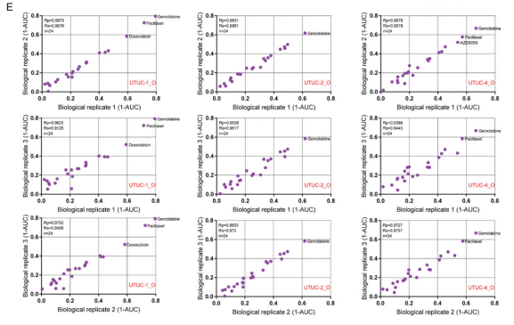 1683796084576321.png image.png