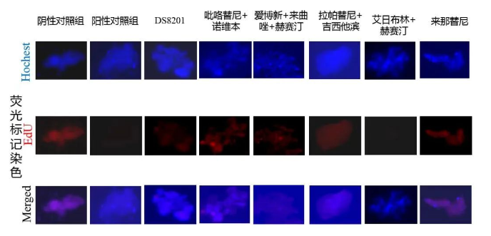 1684122356119789.png image.png