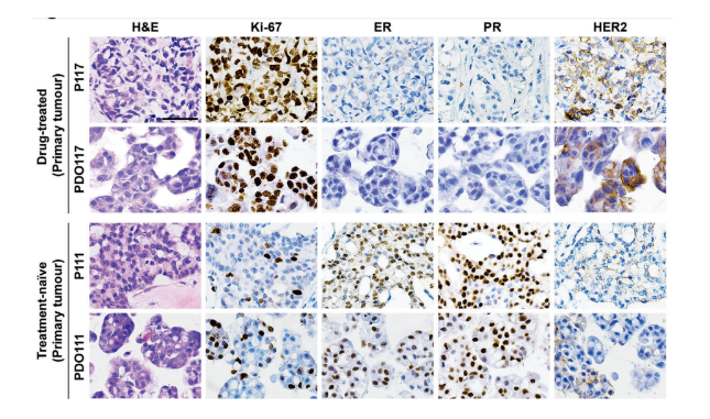 1684130370865355.png image.png