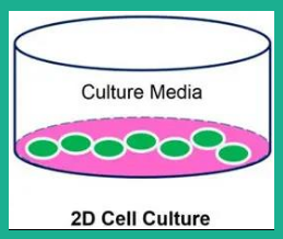 1684130680885365.png image.png