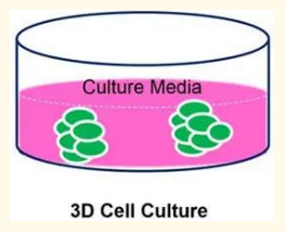 1684130689537182.png image.png