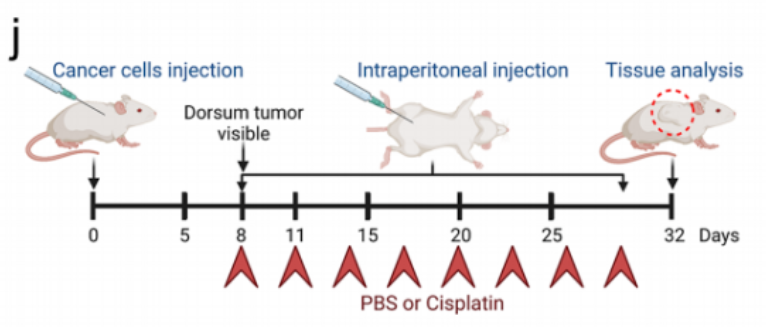 1684141064300516.png image.png