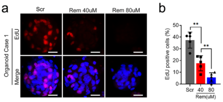 1684141090633083.png image.png