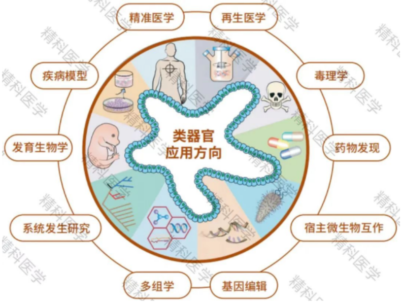 1685503946250542.png image.png