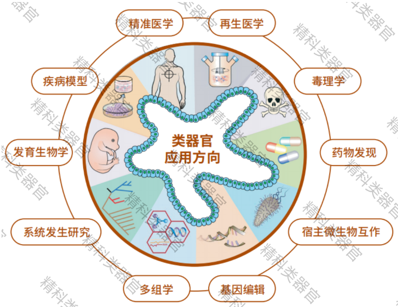 1688969116143427.png image.png